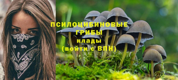 герыч Верхний Тагил