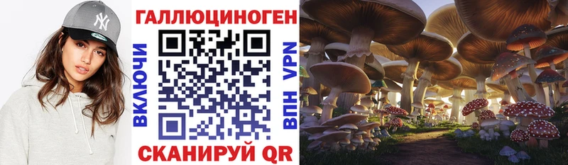 Псилоцибиновые грибы ЛСД  Купить  Электрогорск 